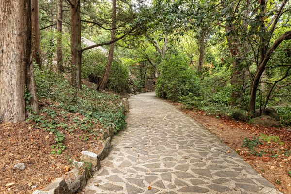 Stone Walkway Repair in Youngstown
