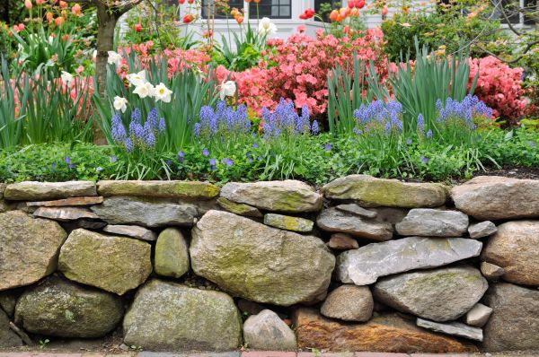 Stone Wall Hardscaping in Youngstown