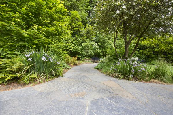 Stone Hardscape Service in Youngstown